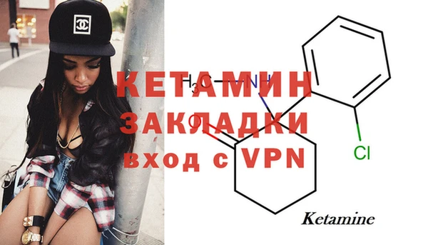 стаф Новодвинск