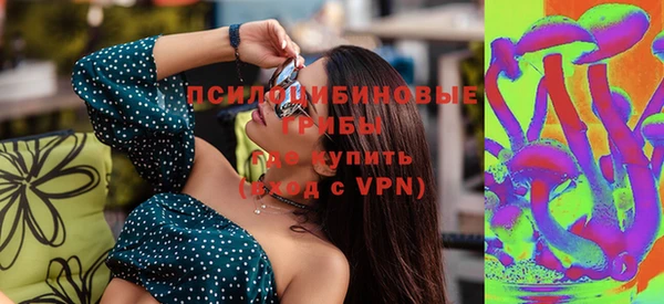 гидропоника Алзамай