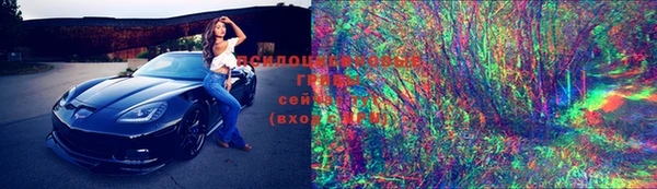 гидропоника Алзамай
