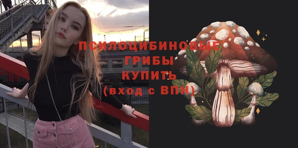 гидропоника Алзамай
