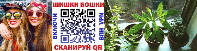цена наркотик  гидра рабочий сайт  Шишки марихуана ГИДРОПОН  Дмитров 